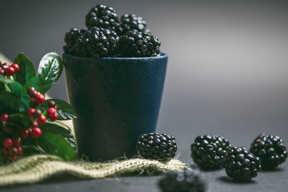 blackberries being served