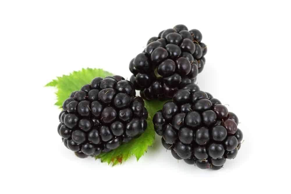 blackberries with leaves