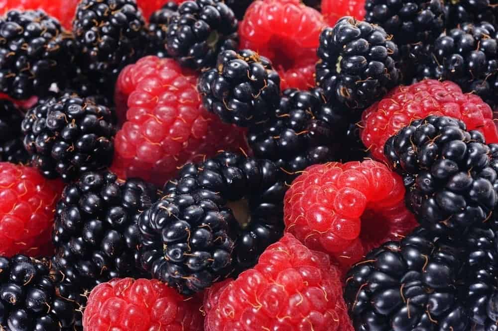 blackberries with raspberries