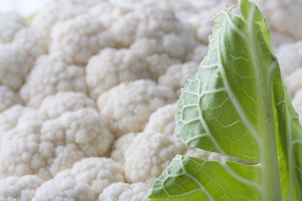 close up of cauliflower