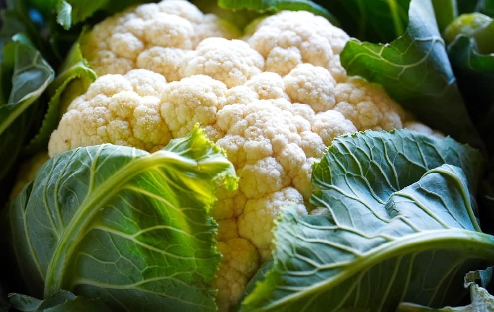 cauliflower with cauliflower leaf